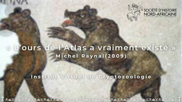 L’ours de l’Atlas a vraiment existé